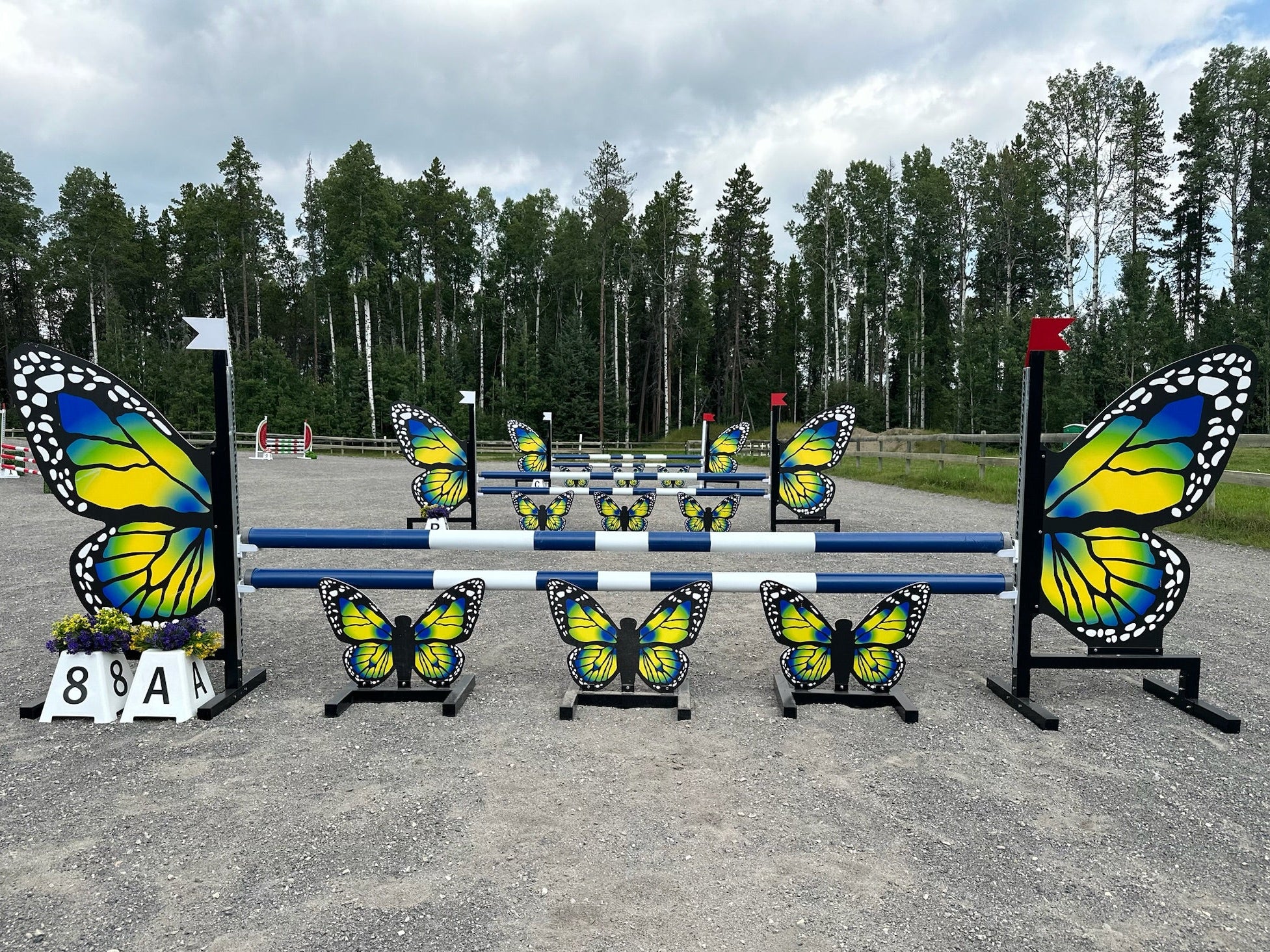 Butterfly Horse Jumps for Sale – Wing Standards & Fillers for Show Jumping – Add a colorful and eye-catching touch to your arena with these butterfly-themed horse jumps, including two wing standards and three matching fillers. Built for training and competition, these durable, high-quality show jumps enhance any equestrian course. Shop now for professional horse jumps for sale!
