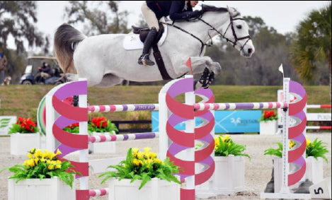Candy Cane Horse Jump with Matching Poles – Add a festive and eye-catching touch to your arena with this vibrant candy cane-themed show jump! Featuring red and white spiral wing standards, coordinating striped poles, and durable construction, this jump is perfect for training or competition. Designed for stability and safety, it's a standout addition to any course. Shop now to bring bold colour and style to your arena!
