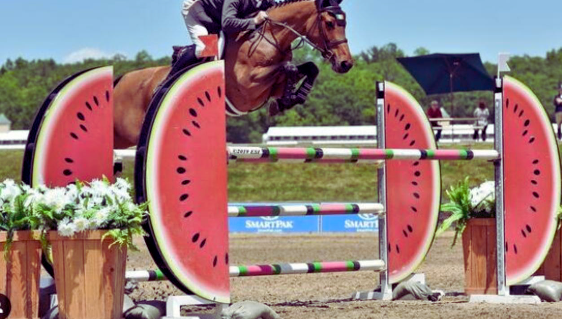 Watermelon-Themed Horse Jump Wing Standards – Fun & Durable Show Jumps – Add a bold, eye-catching touch to your arena with this watermelon-inspired show jump, featuring realistic watermelon slice wing standards and matching striped poles. Designed for training and competition, this jump is durable, UV-resistant, and built for performance. Shop now to brighten up your course!